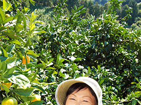 田んぼや畑を耕す田舎妻　大増量３６人　８時間　サンプル画像17